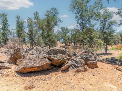 114 Havasu Pl #1, Unit 1, Copperopolis, CA 95228 Photo