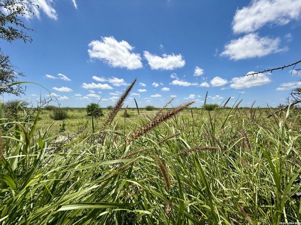 0 CR 235, Three Rivers, TX 78071