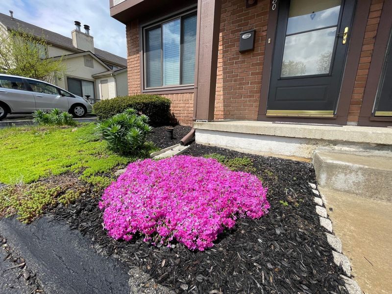 5680 Jousting Lane, Unit A, Columbus, OH 43231 Photo 30