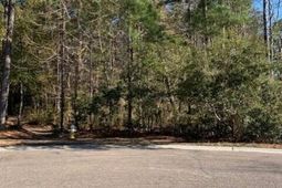 1008 Poconos Court photo 4