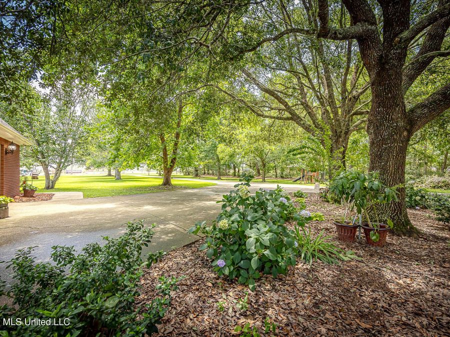Property Image 122
