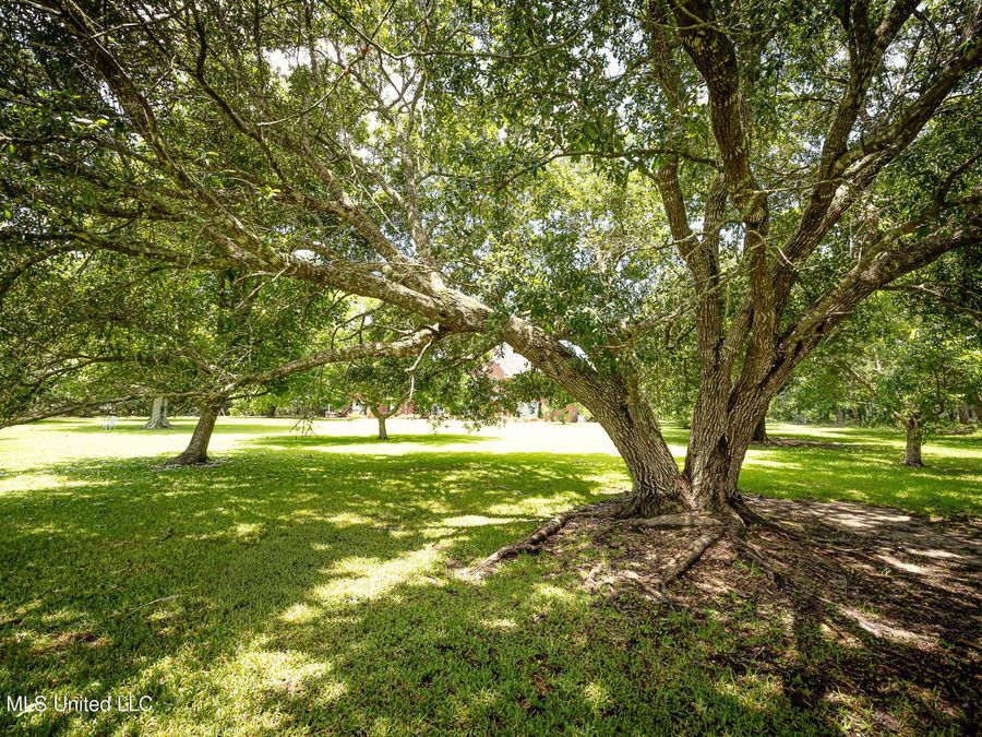 Property Image 132