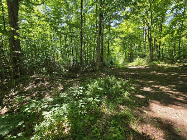1700 Arcadia Lane, Westmore, VT 05860