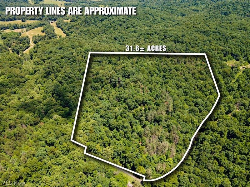0 Long Hollow Road, Pomeroy, OH 45769 Photo 1