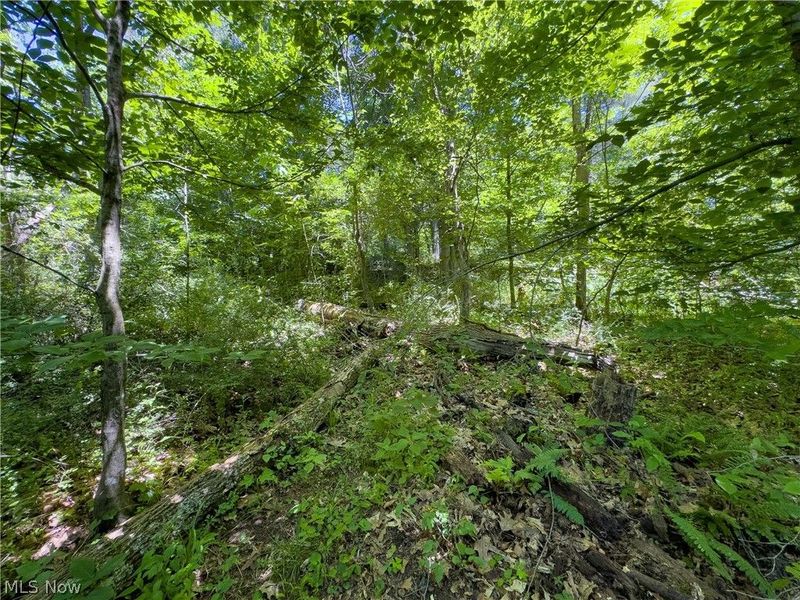 0 Long Hollow Road, Pomeroy, OH 45769 Photo 10