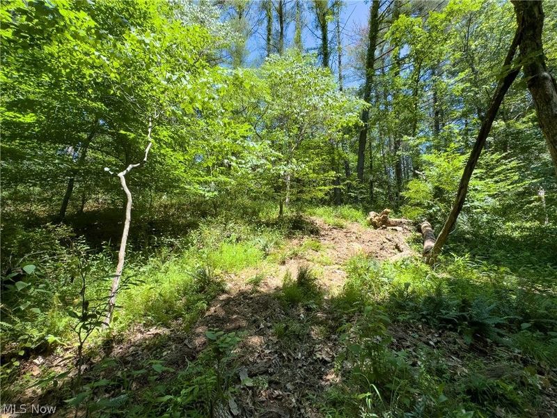 0 Long Hollow Road, Pomeroy, OH 45769 Photo 11