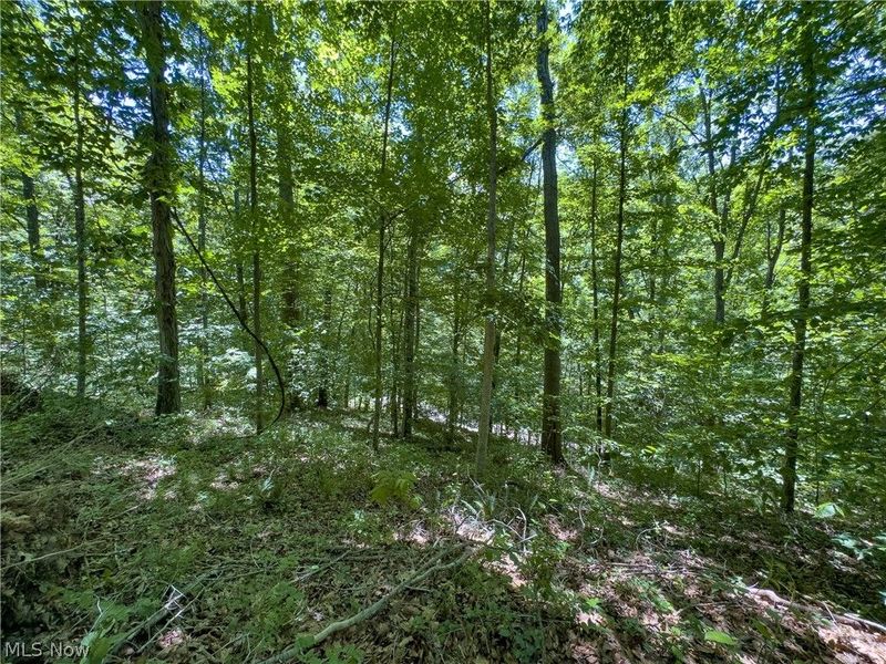 0 Long Hollow Road, Pomeroy, OH 45769 Photo 12