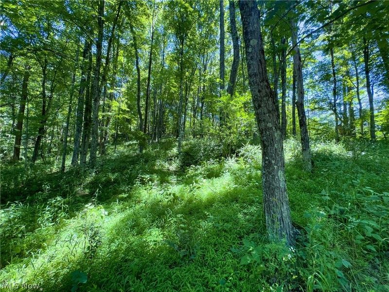 0 Long Hollow Road, Pomeroy, OH 45769 Photo 14