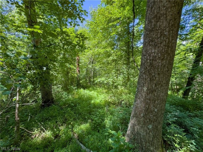 0 Long Hollow Road, Pomeroy, OH 45769 Photo 15