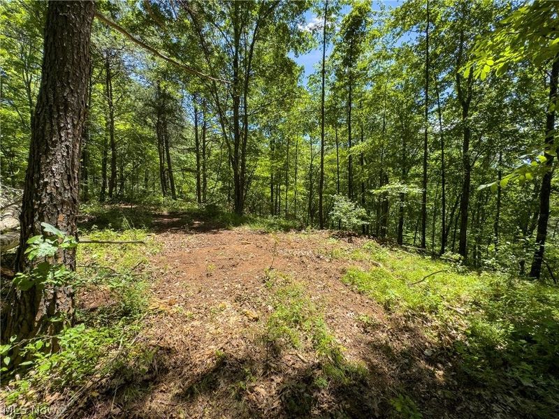0 Long Hollow Road, Pomeroy, OH 45769 Photo 16