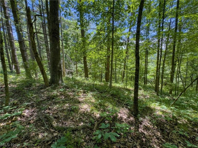 0 Long Hollow Road, Pomeroy, OH 45769 Photo 17