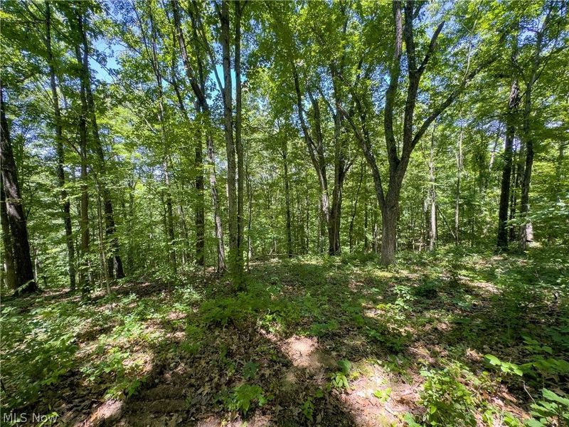 0 Long Hollow Road, Pomeroy, OH 45769 Photo 18