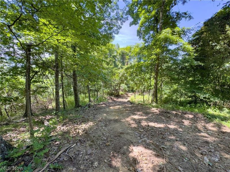 0 Long Hollow Road, Pomeroy, OH 45769 Photo 19
