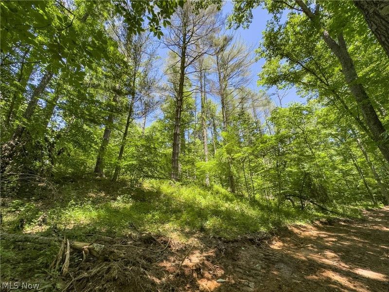 0 Long Hollow Road, Pomeroy, OH 45769 Photo 20