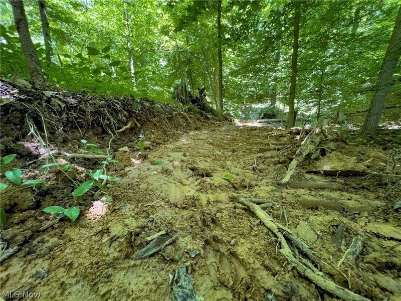 0 Long Hollow Road, Pomeroy, OH 45769 Photo 21