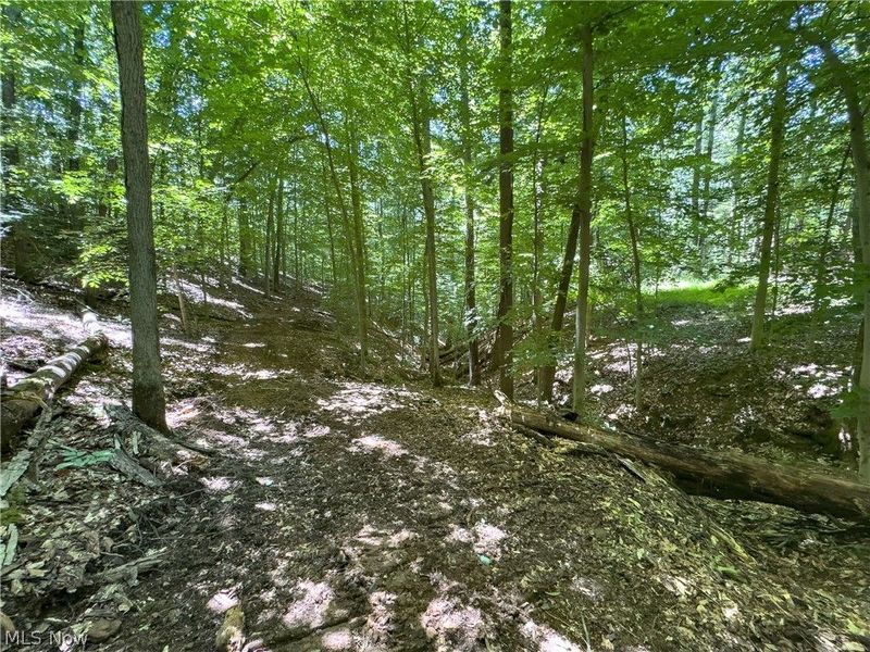 0 Long Hollow Road, Pomeroy, OH 45769 Photo 22