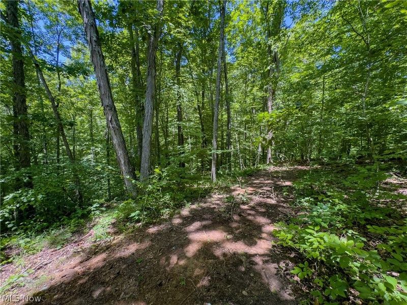 0 Long Hollow Road, Pomeroy, OH 45769 Photo 25