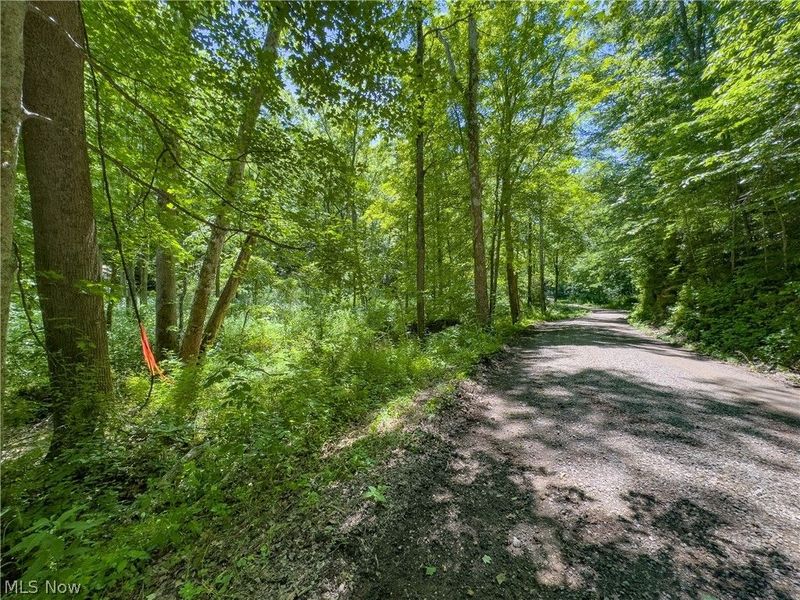 0 Long Hollow Road, Pomeroy, OH 45769 Photo 26