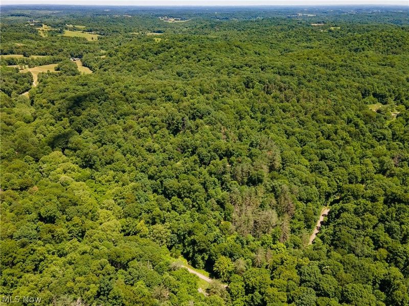 0 Long Hollow Road, Pomeroy, OH 45769 Photo 29