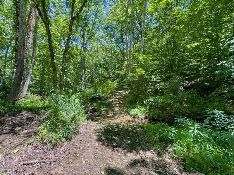 0 Long Hollow Road, Pomeroy, OH 45769 Photo 30