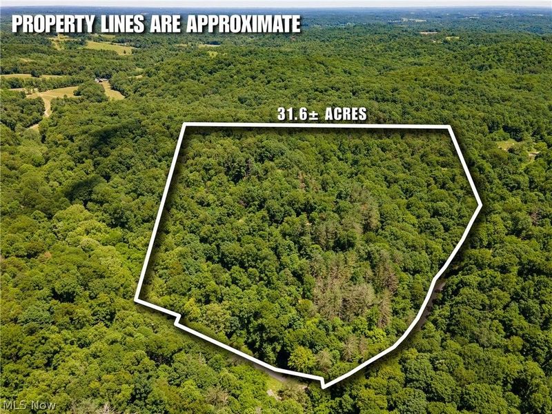 0 Long Hollow Road, Pomeroy, OH 45769 Photo 31