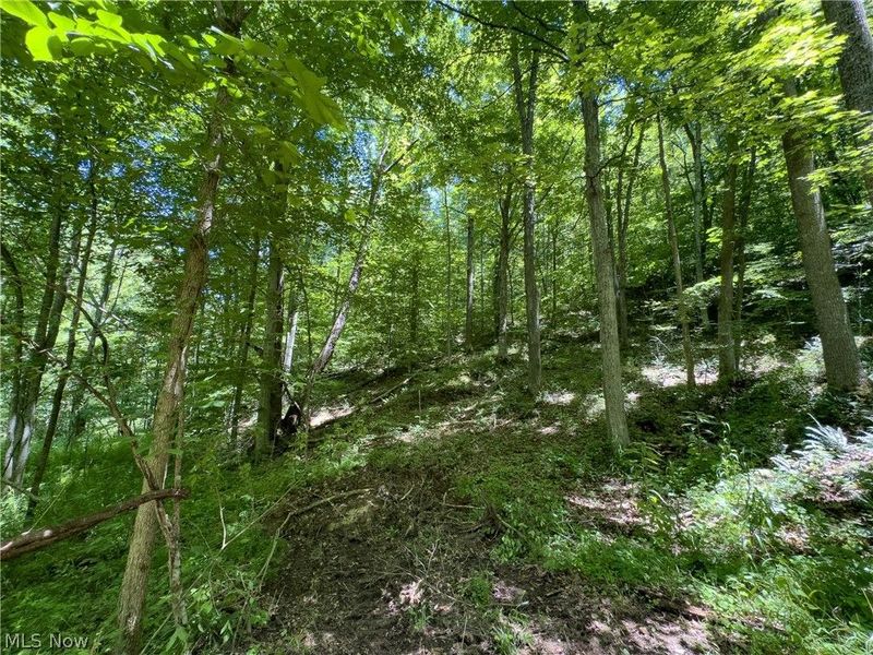0 Long Hollow Road, Pomeroy, OH 45769 Photo 6