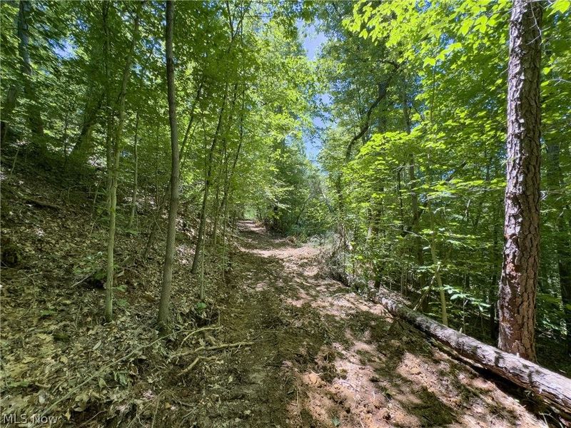 0 Long Hollow Road, Pomeroy, OH 45769 Photo 7