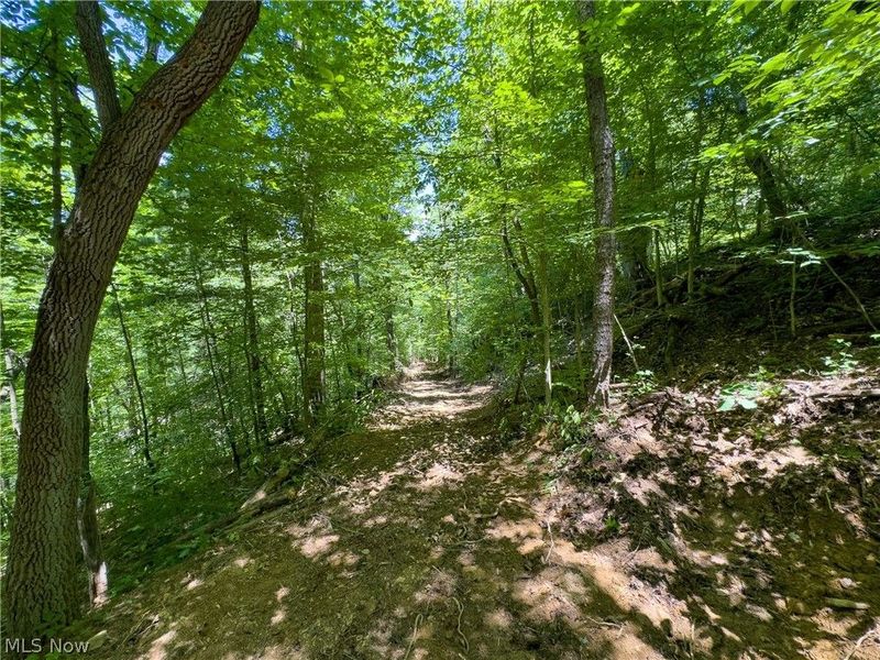 0 Long Hollow Road, Pomeroy, OH 45769 Photo 8