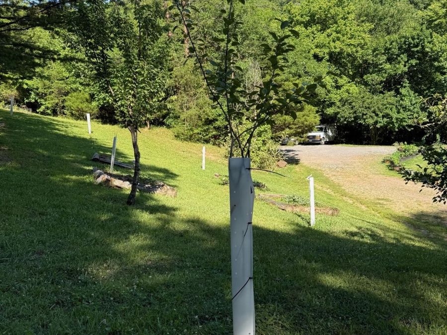 Property Image 31