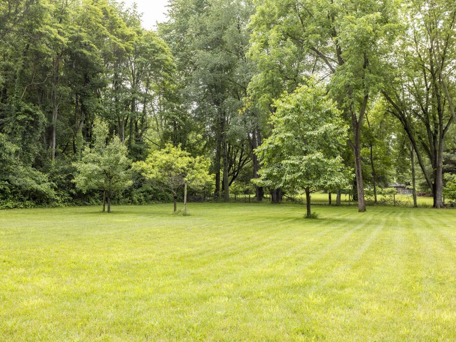 Property Image 71