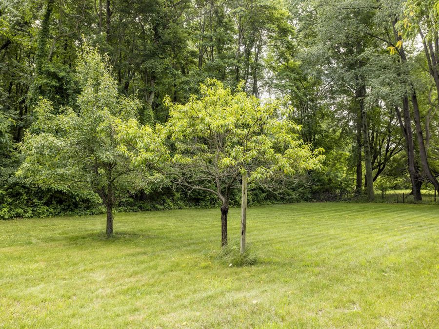 Property Image 72