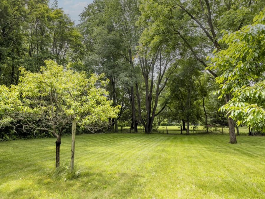Property Image 73