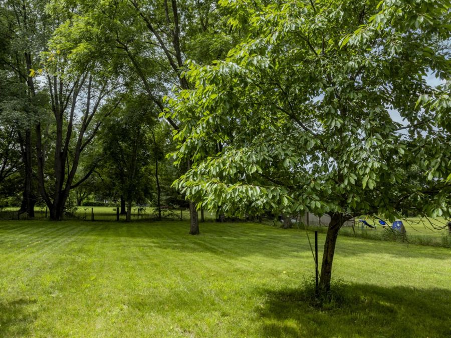 Property Image 74
