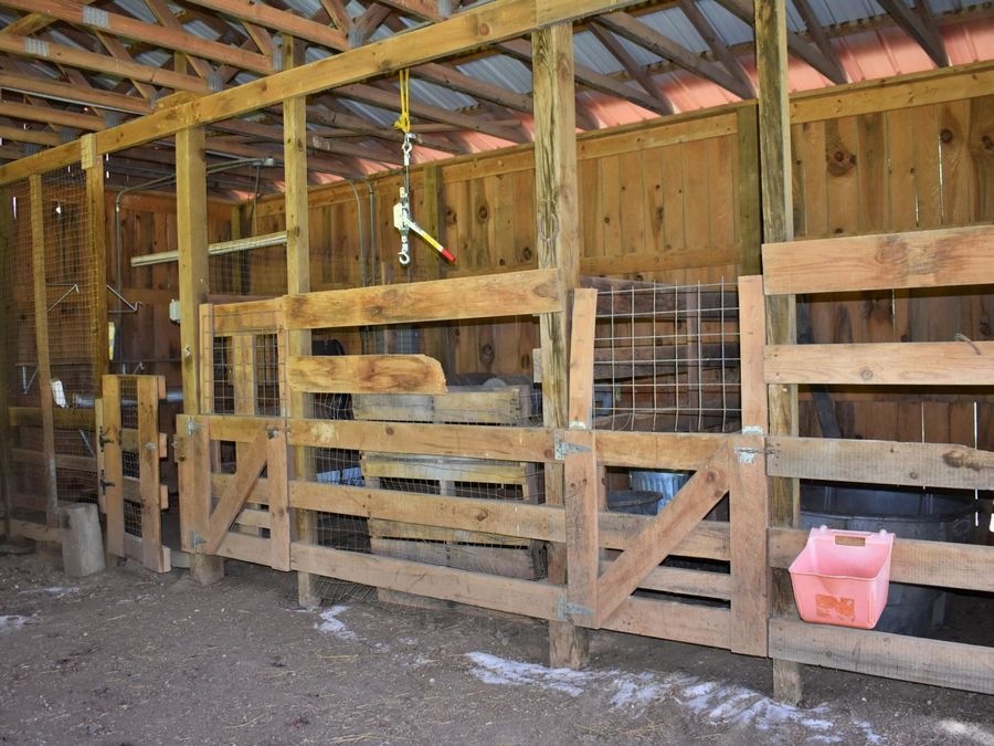 Property Image 10