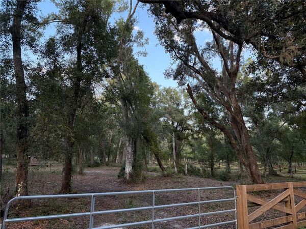 SE BROWN ROAD , ARCADIA, FL 34266