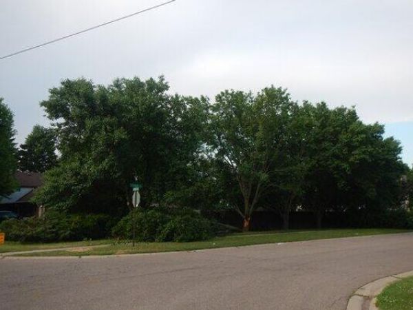 VL North Demorrow Road, Stevensville, MI 49127