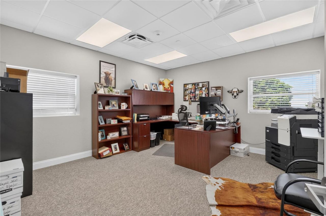 513 Ariana Avenue, Auburndale, FL 33823 Photo