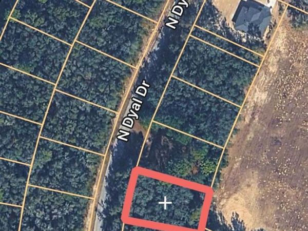 10161 N DYAL DRIVE , CITRUS SPRINGS, FL 34434