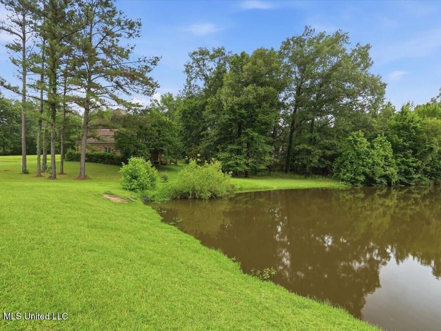 Property Image 62