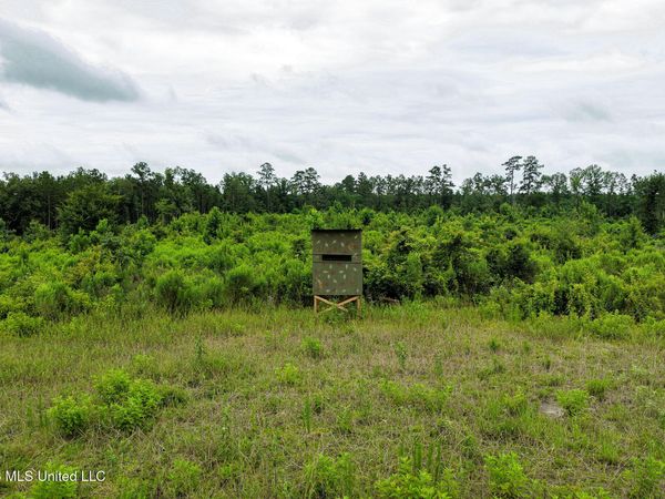 Mary Wall Bridge Rd/mt Vernon , Liberty, MS 39645
