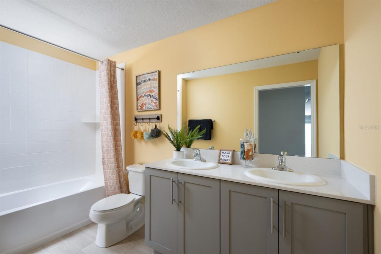 31699 Oyster Trellis Lane, Wesley Chapel, FL 33545 Photo