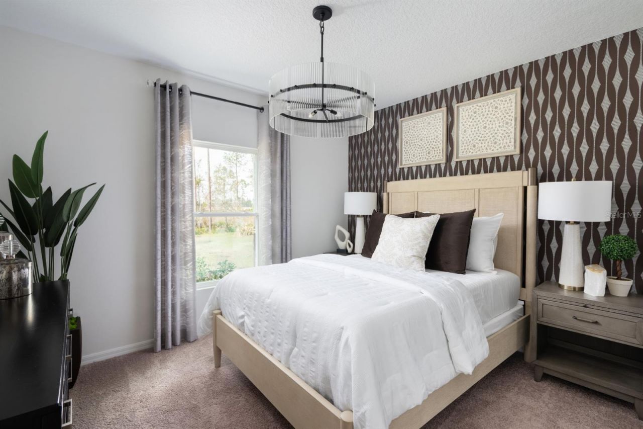 31699 Oyster Trellis Lane, Wesley Chapel, FL 33545 Photo