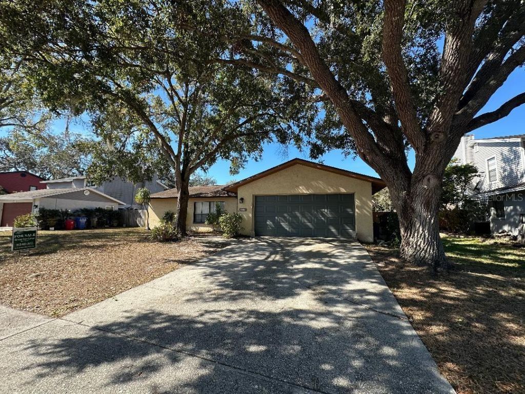 4305 Ellenville Place , Valrico, FL 33596 Main Photo