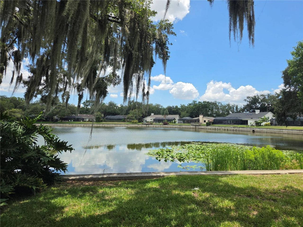 1711 Magdalene Manor Drive, Tampa, FL 33613 Photo