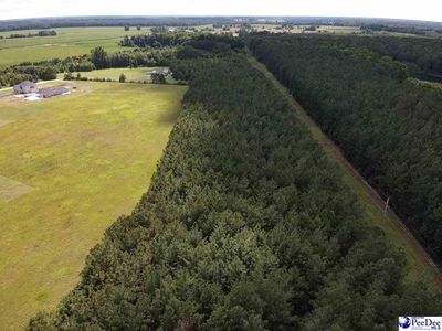 TBD Harllees Bridge Road, Little Rock, SC 29567