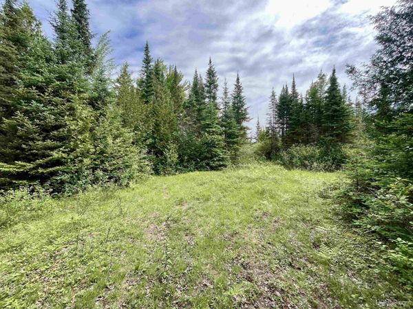 TBD 9th Lane, Ford River Twp, MI 49807