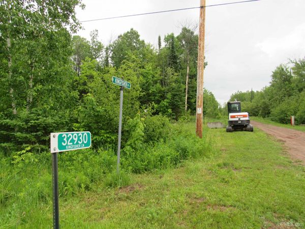 TBD Kingfisher Lane, Carp Lake Twp, MI 49953
