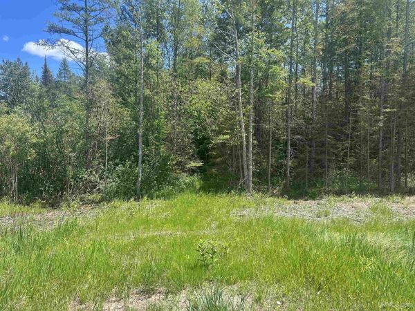 TBD L Road, Wells Twp, MI 49829