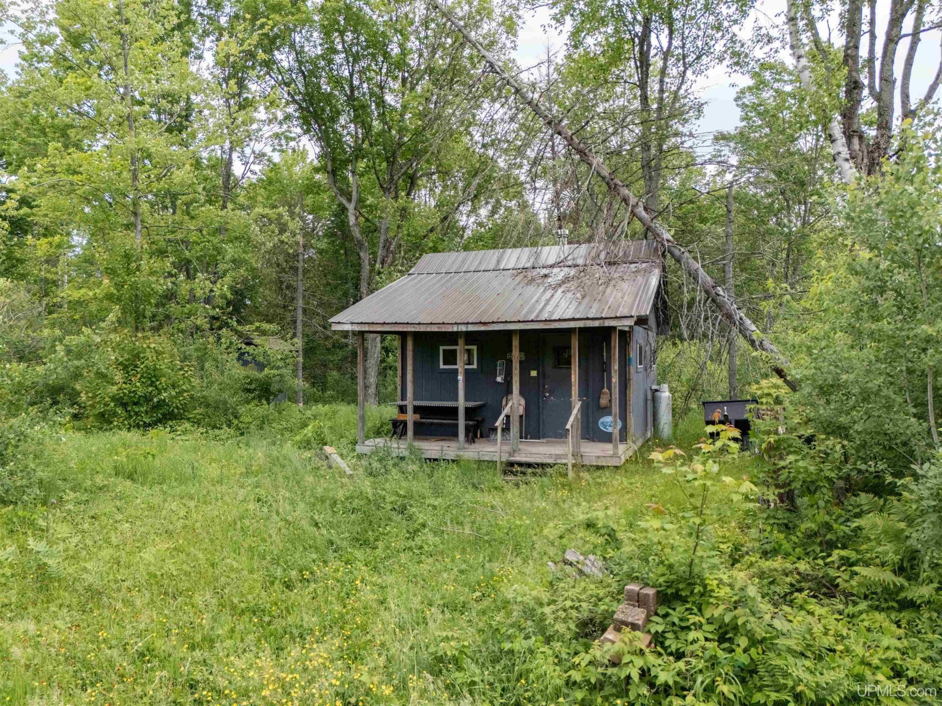 Tbd Cable Lake Road, Hematite Twp, MI 49920 Main Photo