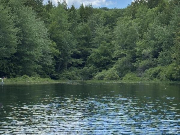 00 Brown Road , Liberty, ME 04949